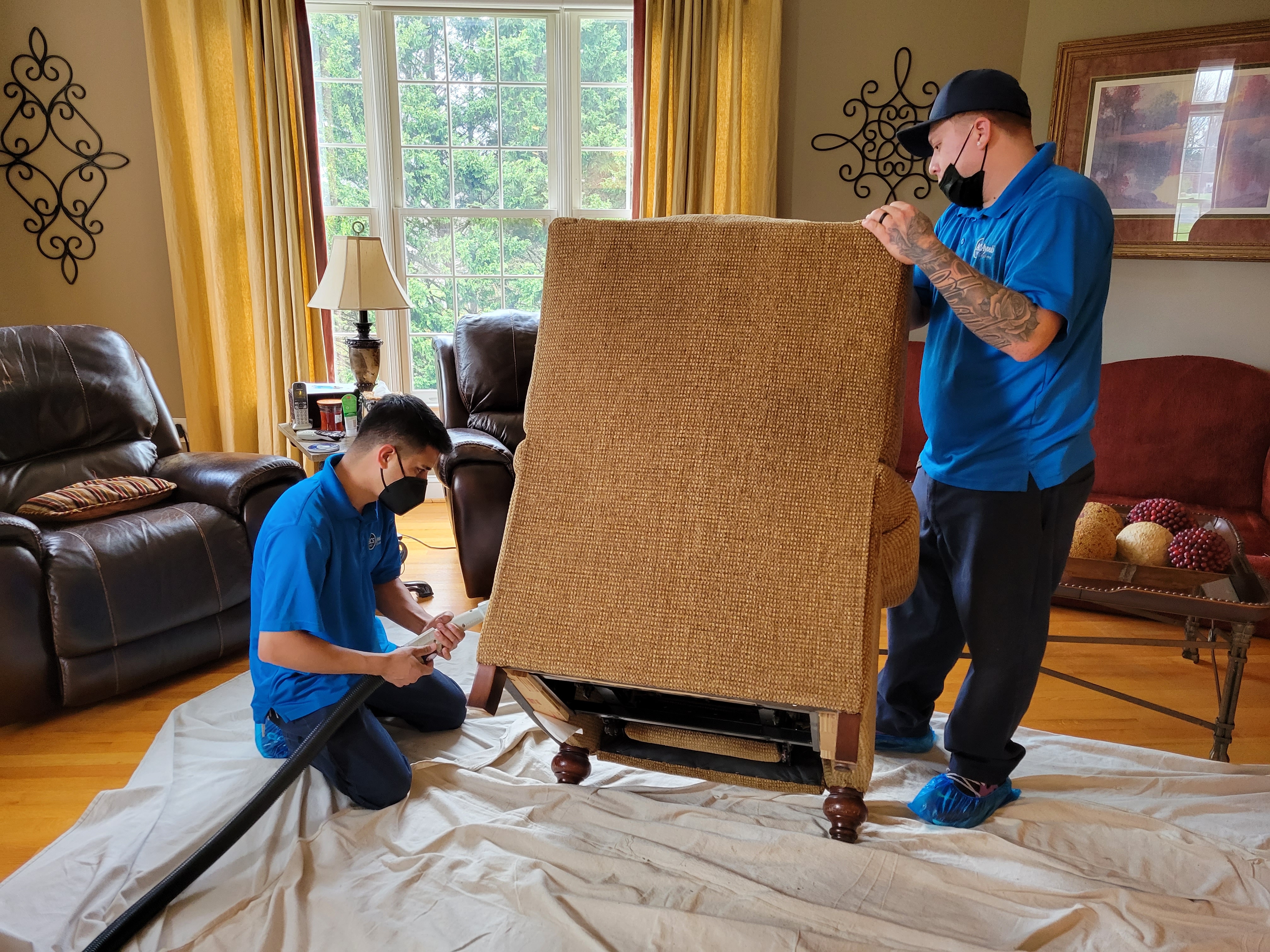 The Importance of Professional Upholstery Cleaning