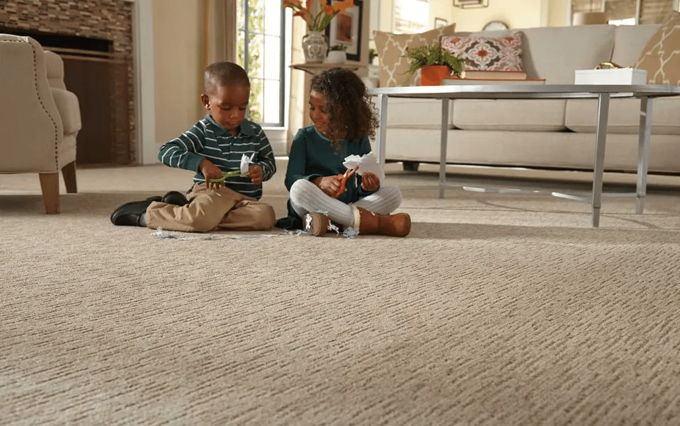 What is IICRC and Why is it Important in the Carpet Cleaning Industry?