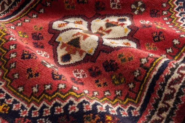 Rug Care Tips: Preventing Mildew and Dry Rot in Rugs