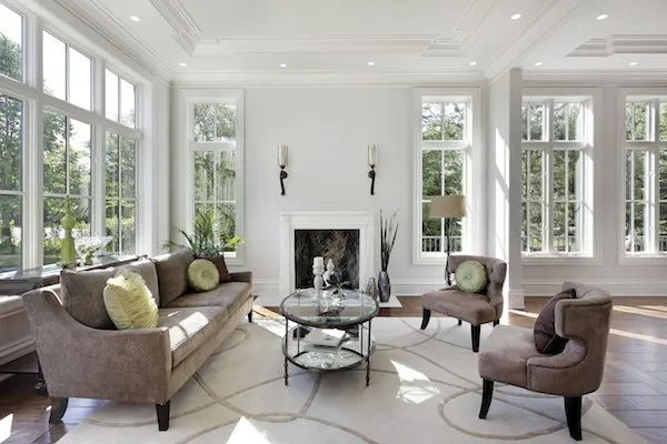 Improve Indoor Air Quality with Houseplants | Professional Rug And Carpet Cleaning
