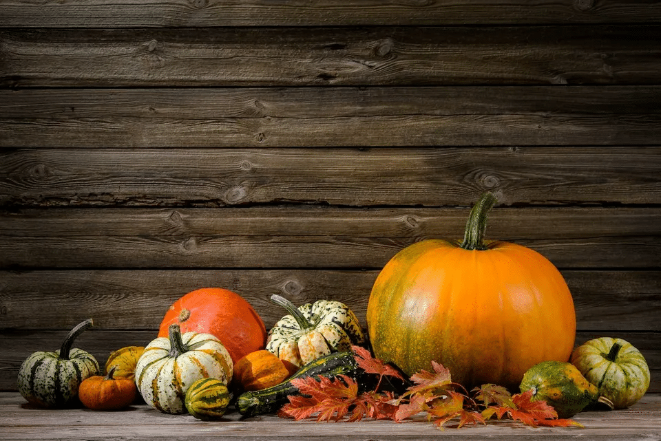 5 Things for Your Home and Fall To-Do List