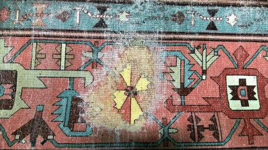 Moth Season is Here, Are You Protecting Your Rugs?