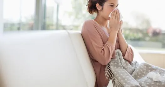 How to Improve Indoor Air Quality with Professional Cleaning