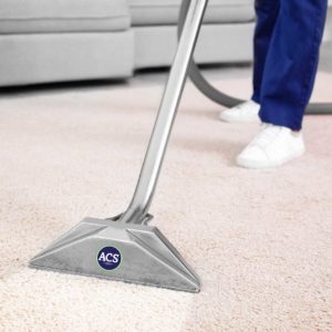 In-home Cleaning