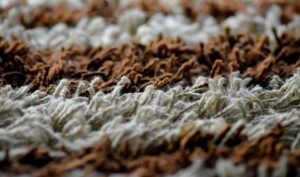 Carpet fibers: Using a protectant can make carpet cleaning results last longer. 