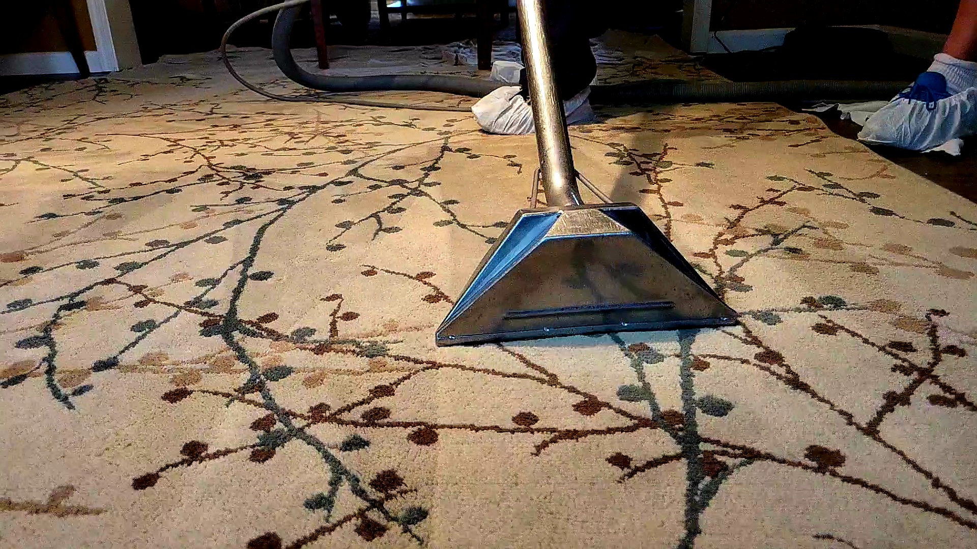 Do You Know How Much Dirt Could Be Hiding in Your Rugs?