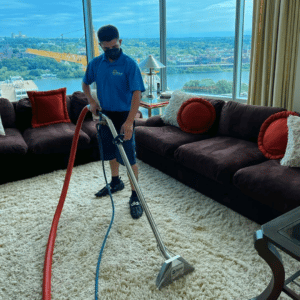 professional carpet cleaning service