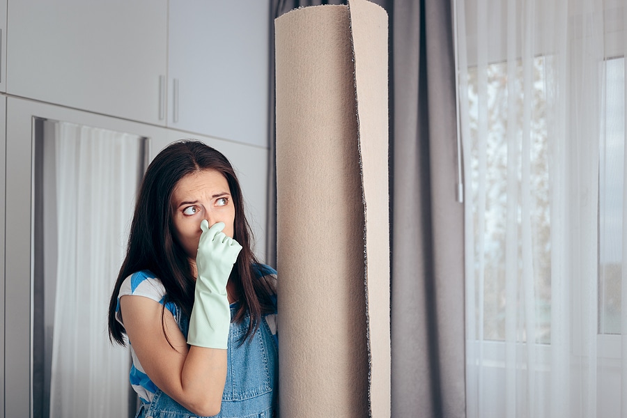 Carpet Odors in Humid Conditions: The Cause and the Remedy